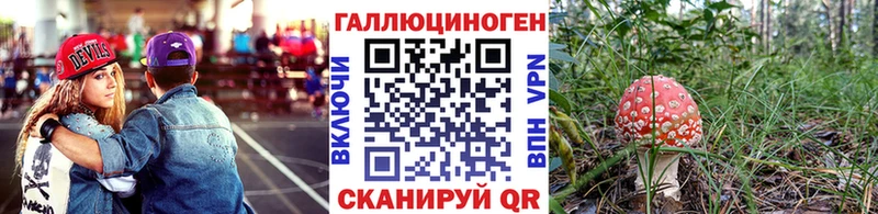 Купить закладки  Мичуринск  Галлюциногенные грибы Psilocybe 